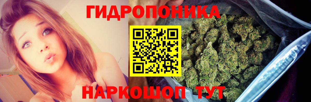 МАРИХУАНА индика  Бошки Шишки планчик  Каннабис сатива  Бошки марихуана Bruce Banner  Ногинск 